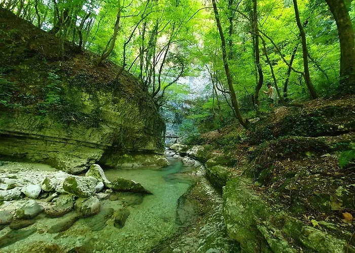 Palestro 8_art House בית נופש